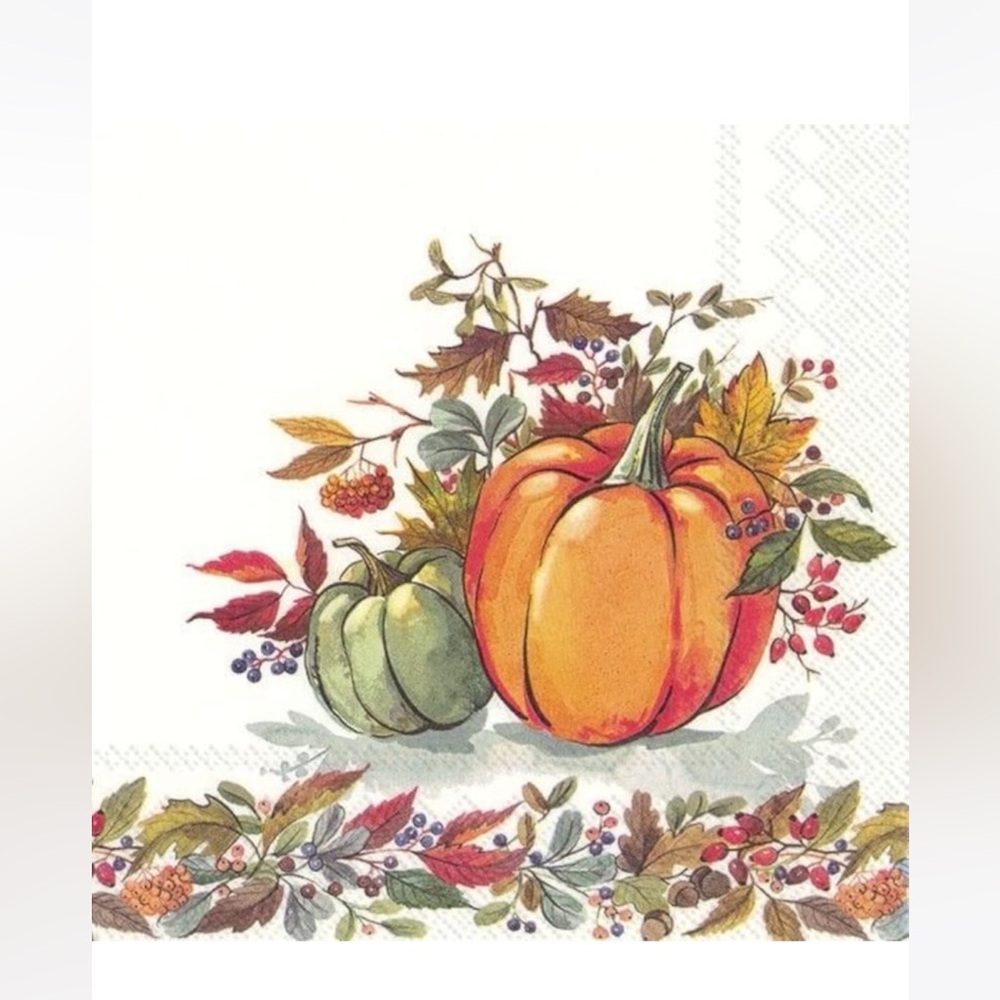 Autumn nwt Harvest Pumpkin Cocktail Napkins pack of 40 12.5” 5 x 5